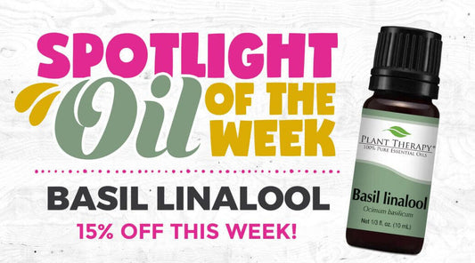 Basil Linalool Essential Oil Spotlight of the Week