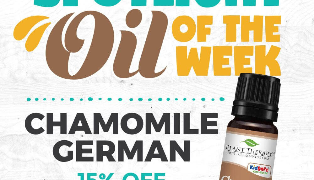 Chamomile German Essential Oil Spotlight of the Week