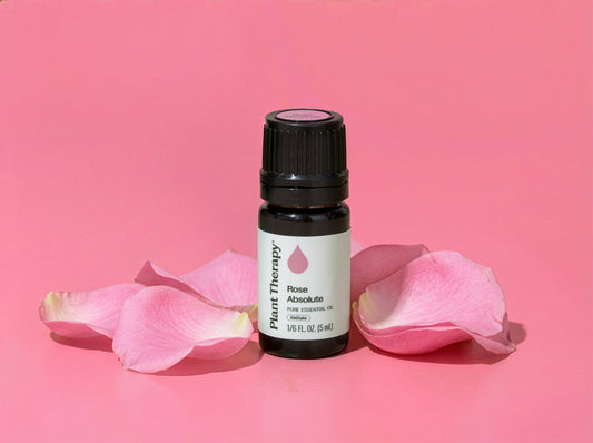 Benefits Of Rose Essential Oil