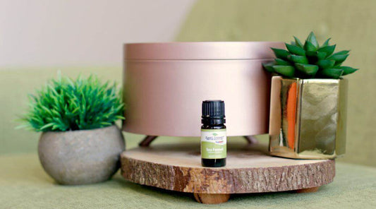 July Essential Oil of the Month: Sea Fennel