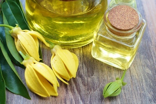 Favorite Ways to Use Ylang Ylang – PlantTherapy.com