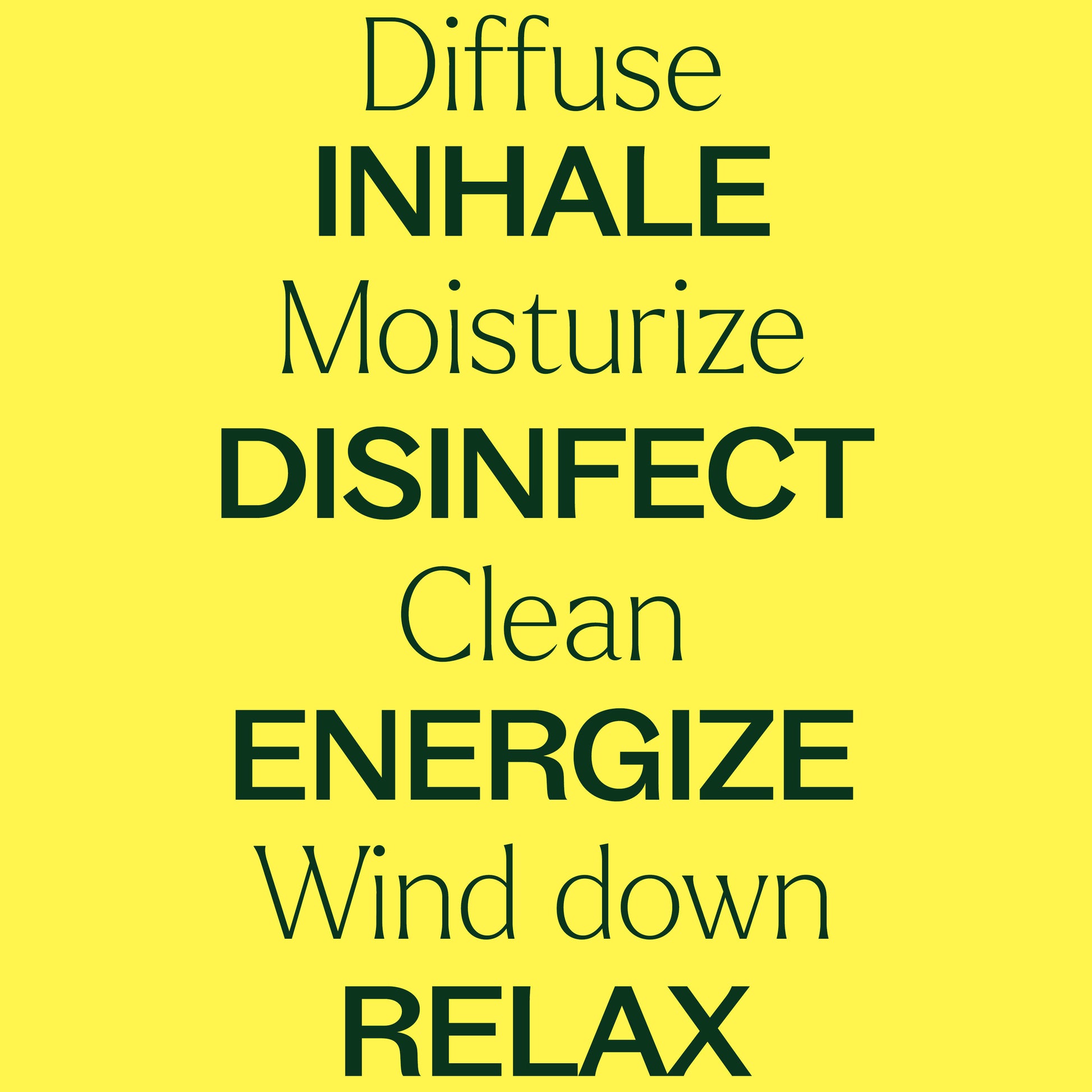 15 & 15 Essential Oil Set with Carrying Case