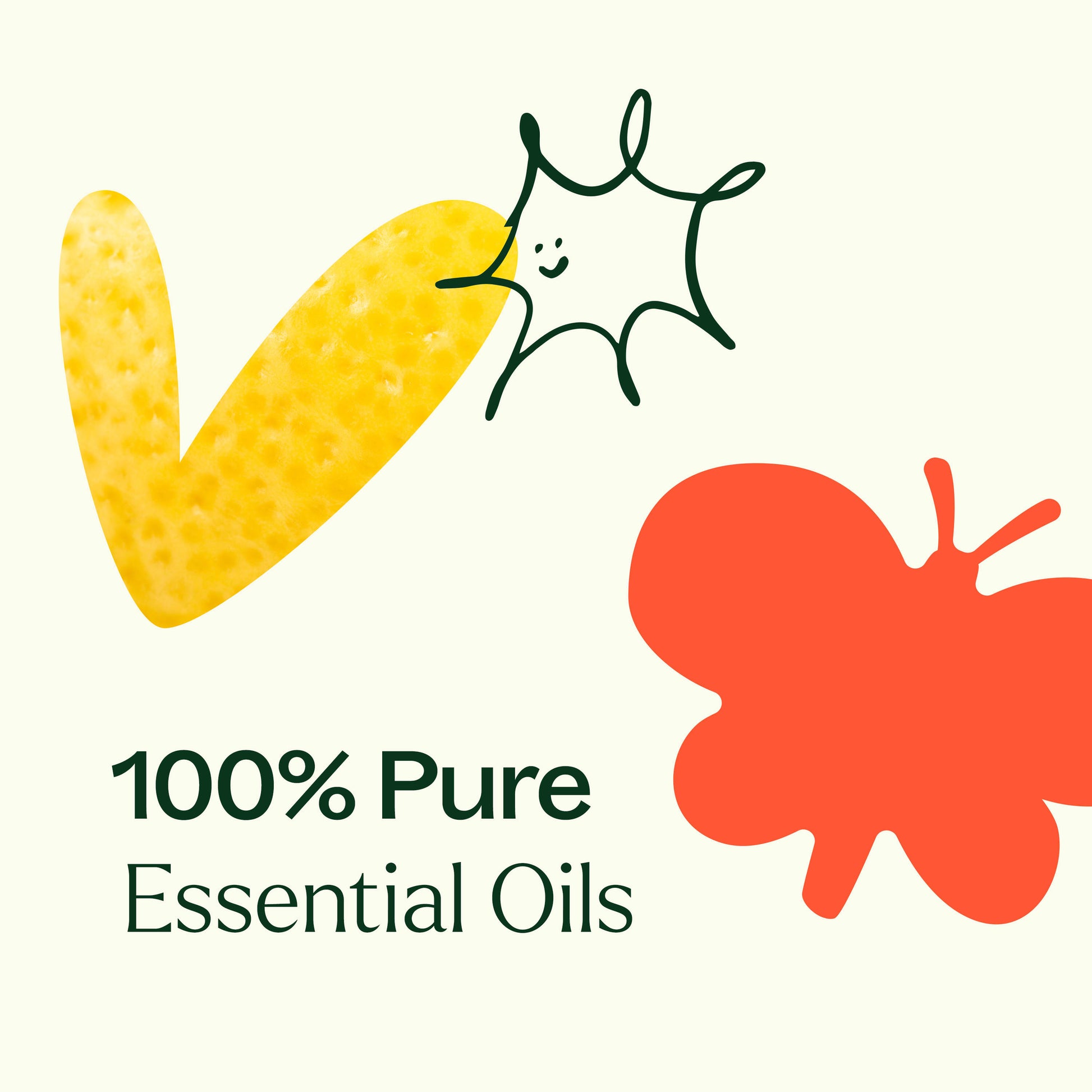 15 & 15 Essential Oil Set with Carrying Case