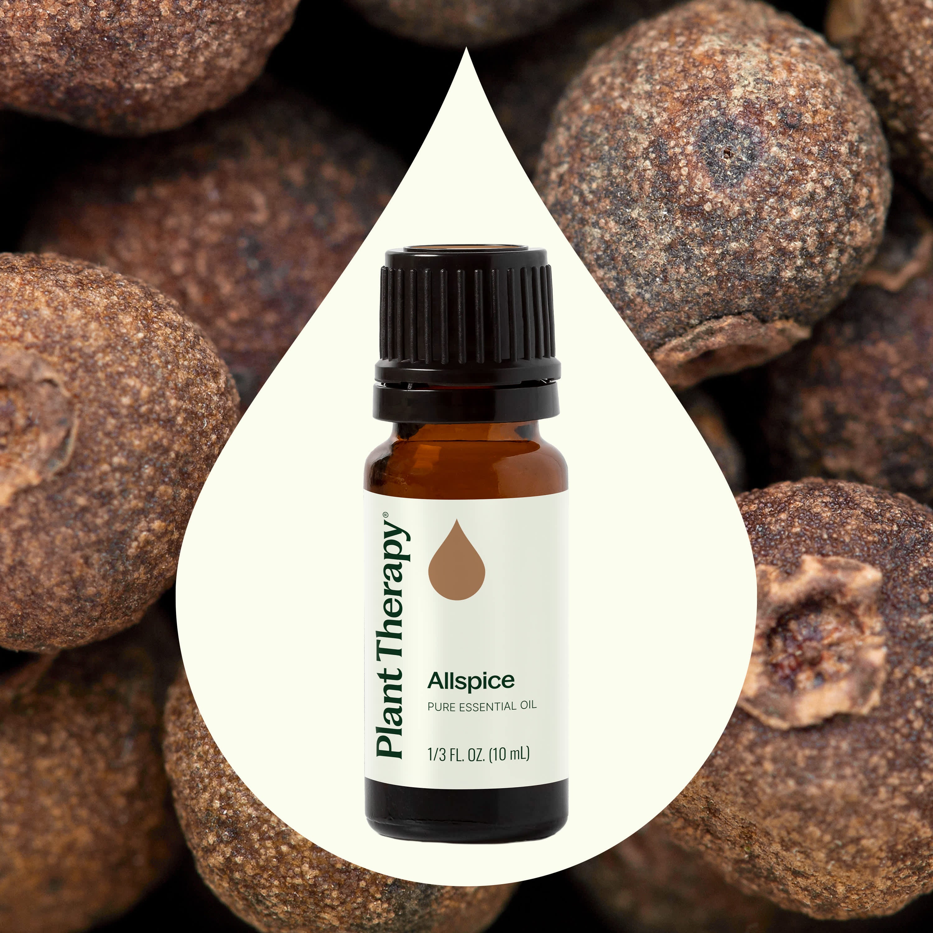 Allspice Essential Oil – Plant Therapy