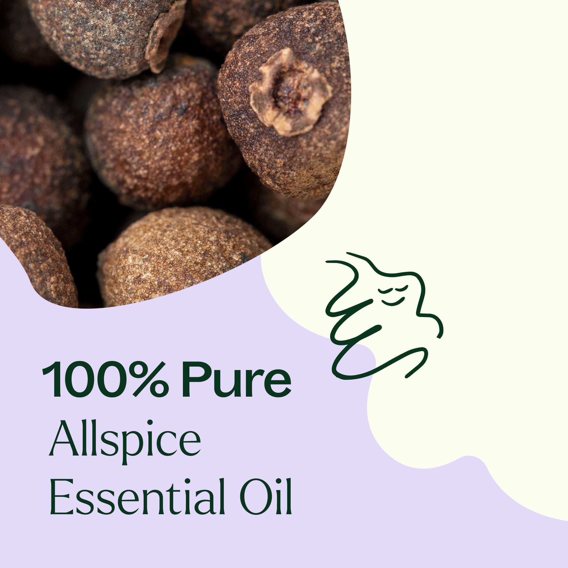 Allspice Essential Oil