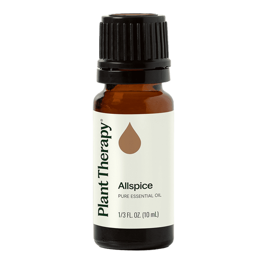 Allspice Essential Oil