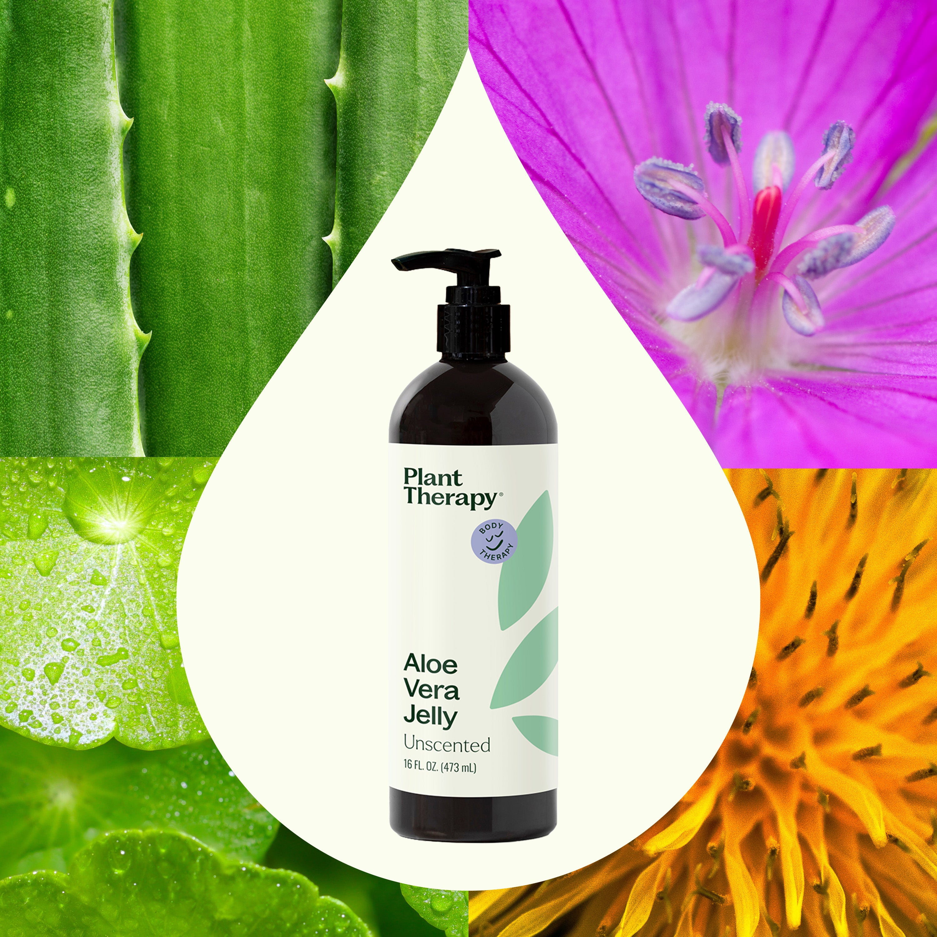 Aloe Vera Jelly Unscented – Plant Therapy
