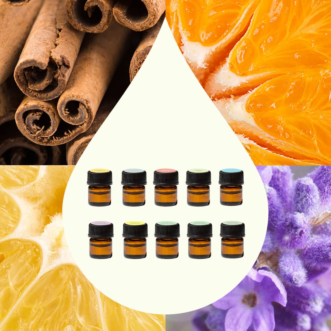 Aroma Flight 10 Count Set – Plant Therapy