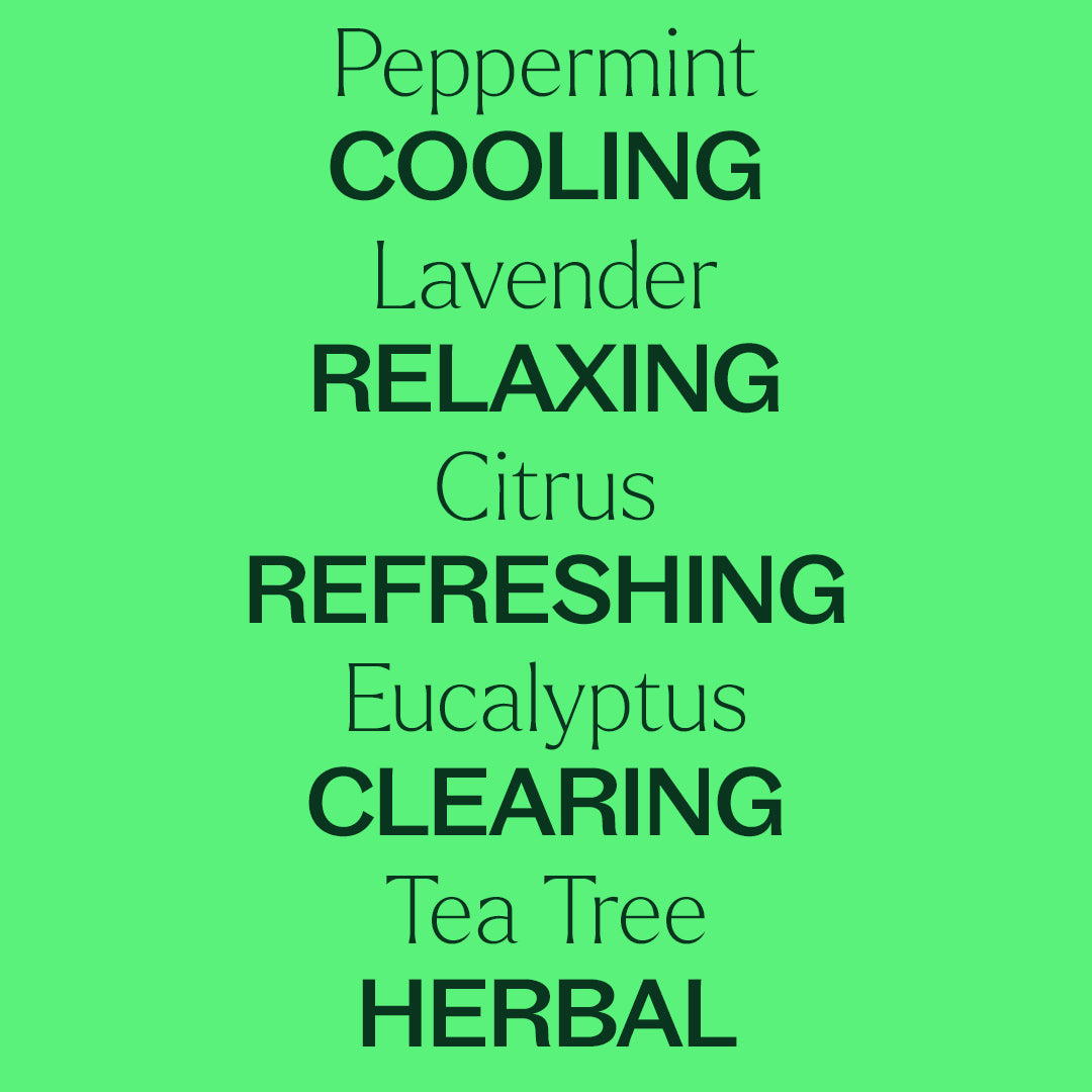 Aromatherapy Starter Bundle