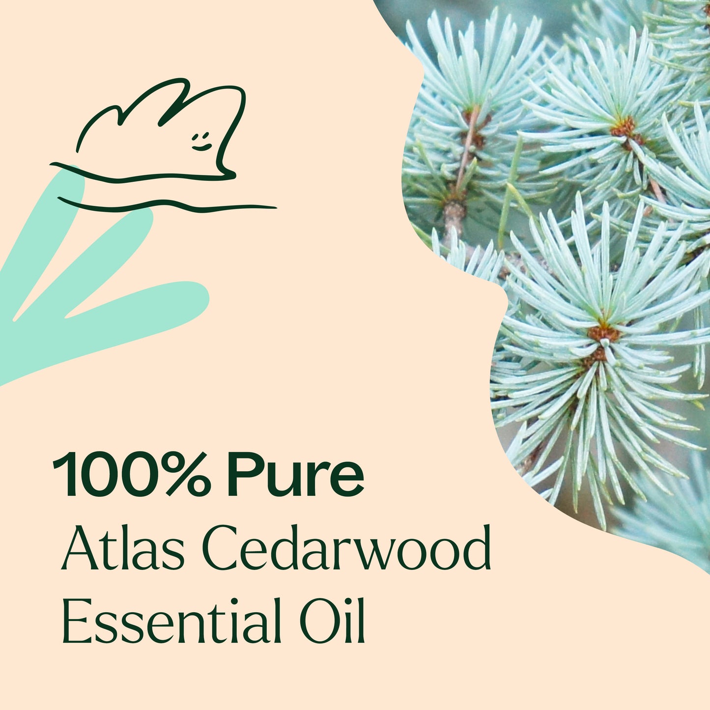 Organic Atlas Cedarwood Essential Oil