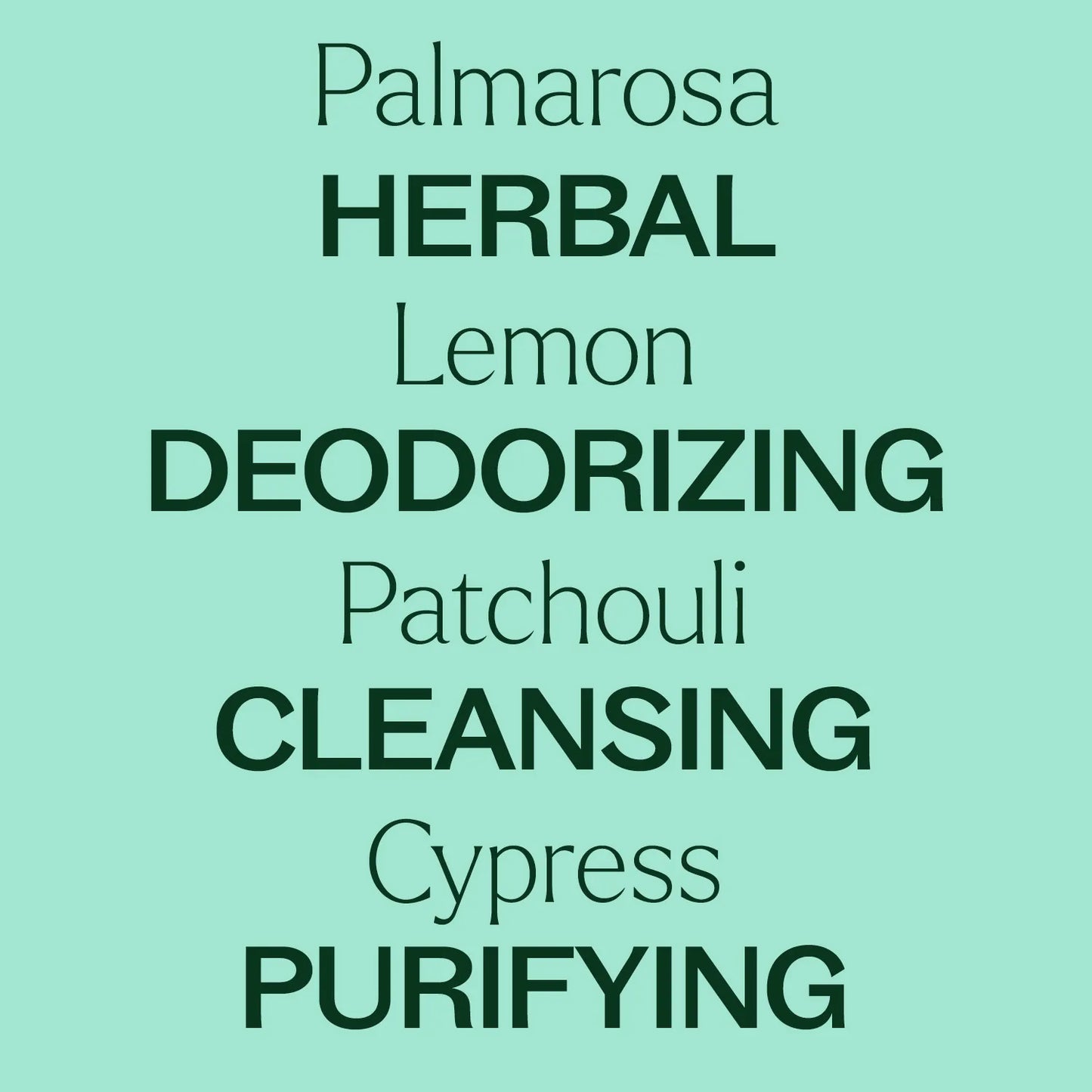 FREE GIFT: Beginner Diffuser and Best-Selling Blend