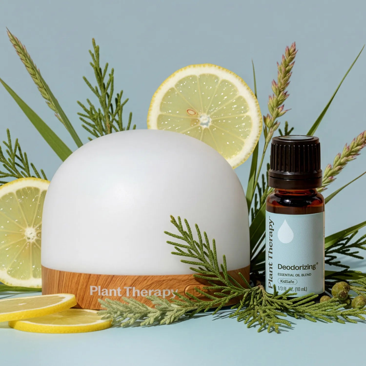 FREE GIFT: Beginner Diffuser and Best-Selling Blend