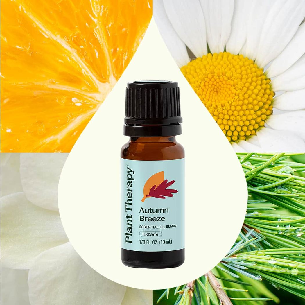 Autumn Breeze Essential Oil Blend
