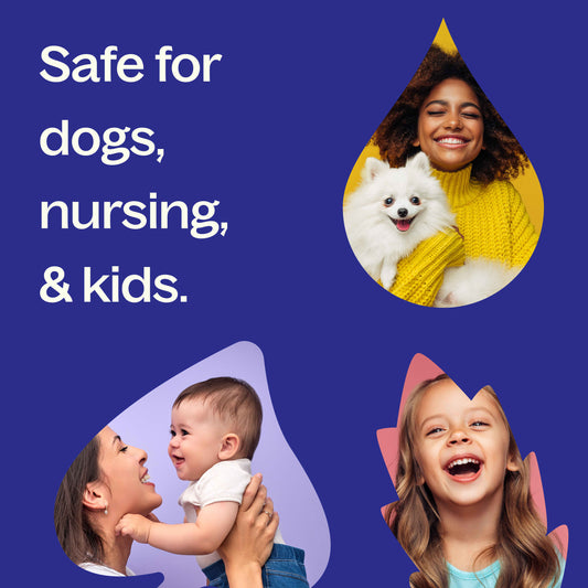 Balance Essential Oil Blend Pre-Diluted Roll-On