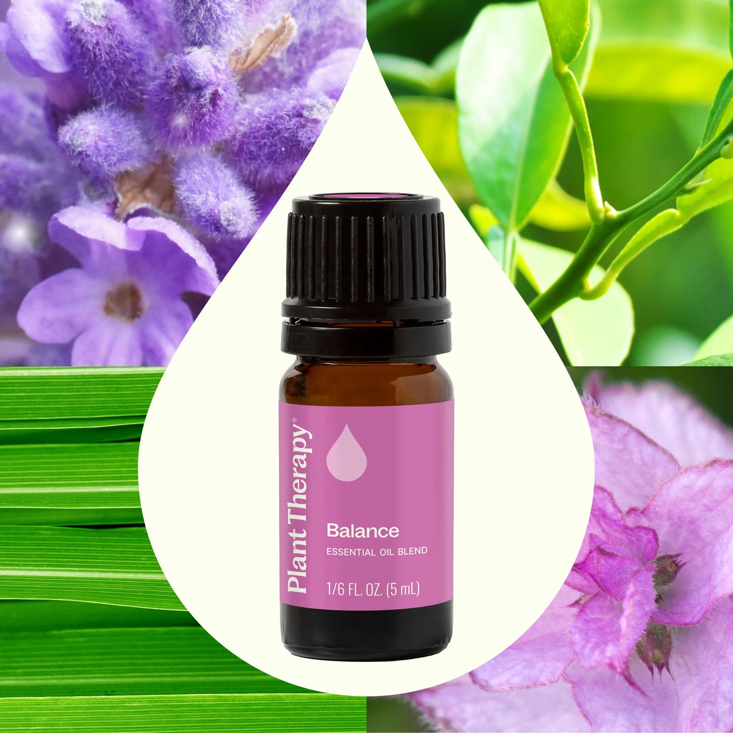 Balance Essential Oil Blend