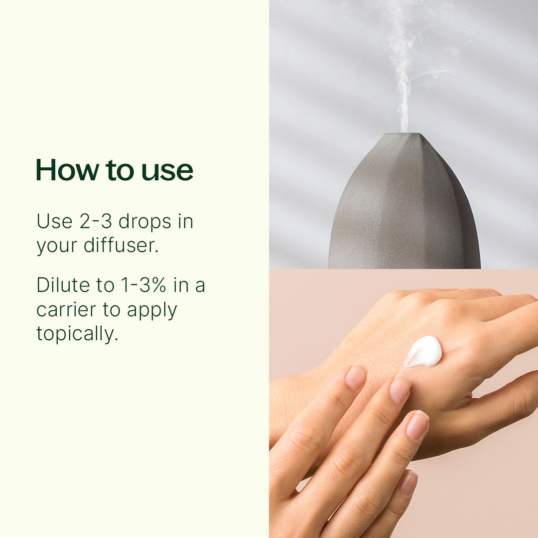 Balm Mint Bush Essential Oil