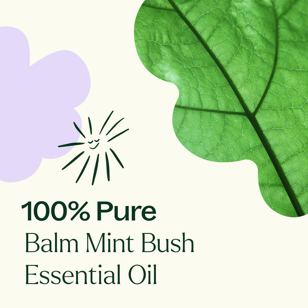 Balm Mint Bush Essential Oil
