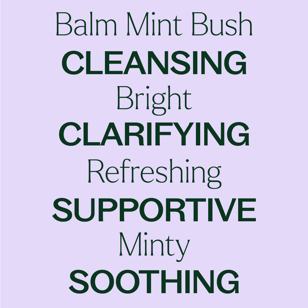 Balm Mint Bush Essential Oil