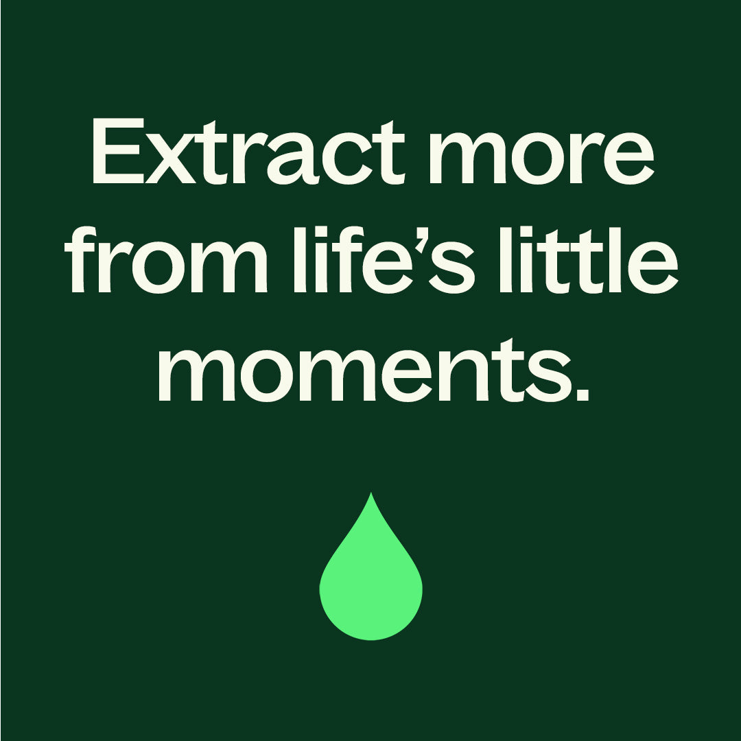 Balm Mint Bush Essential Oil