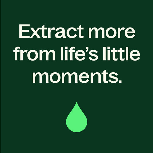 Balm Mint Bush Essential Oil