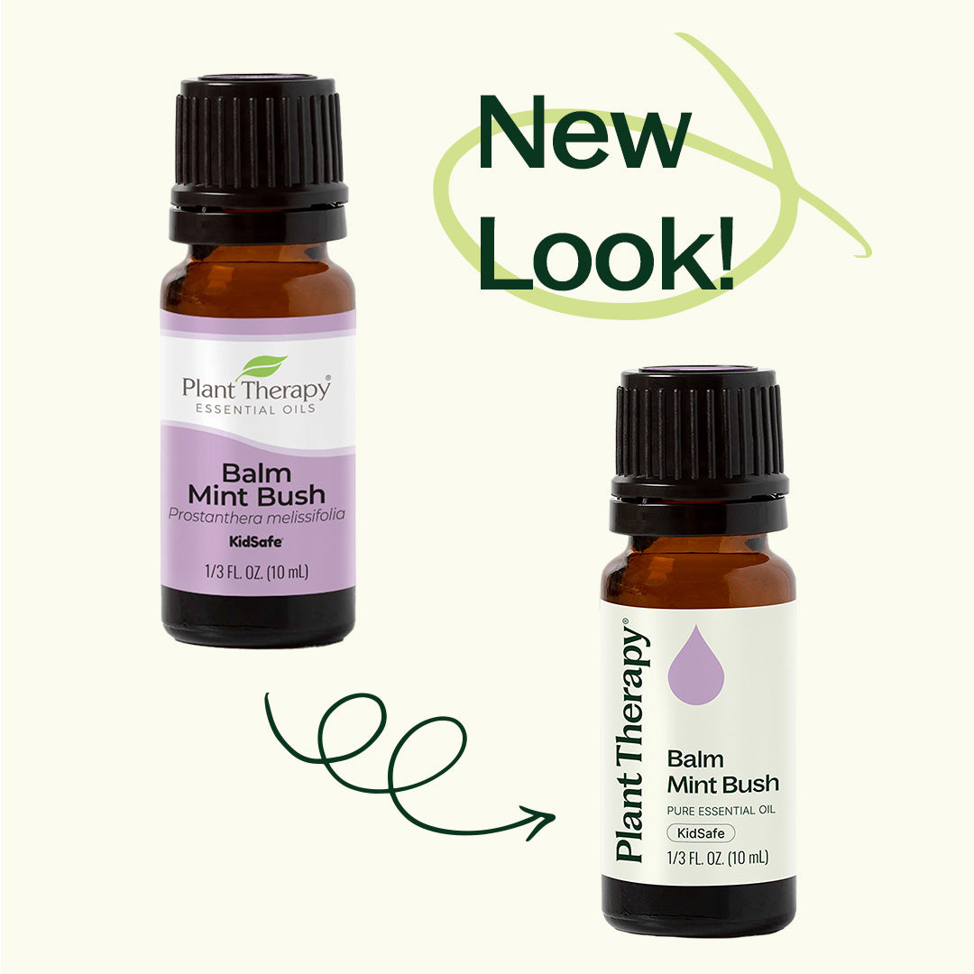 Balm Mint Bush Essential Oil