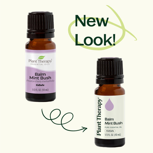 Balm Mint Bush Essential Oil