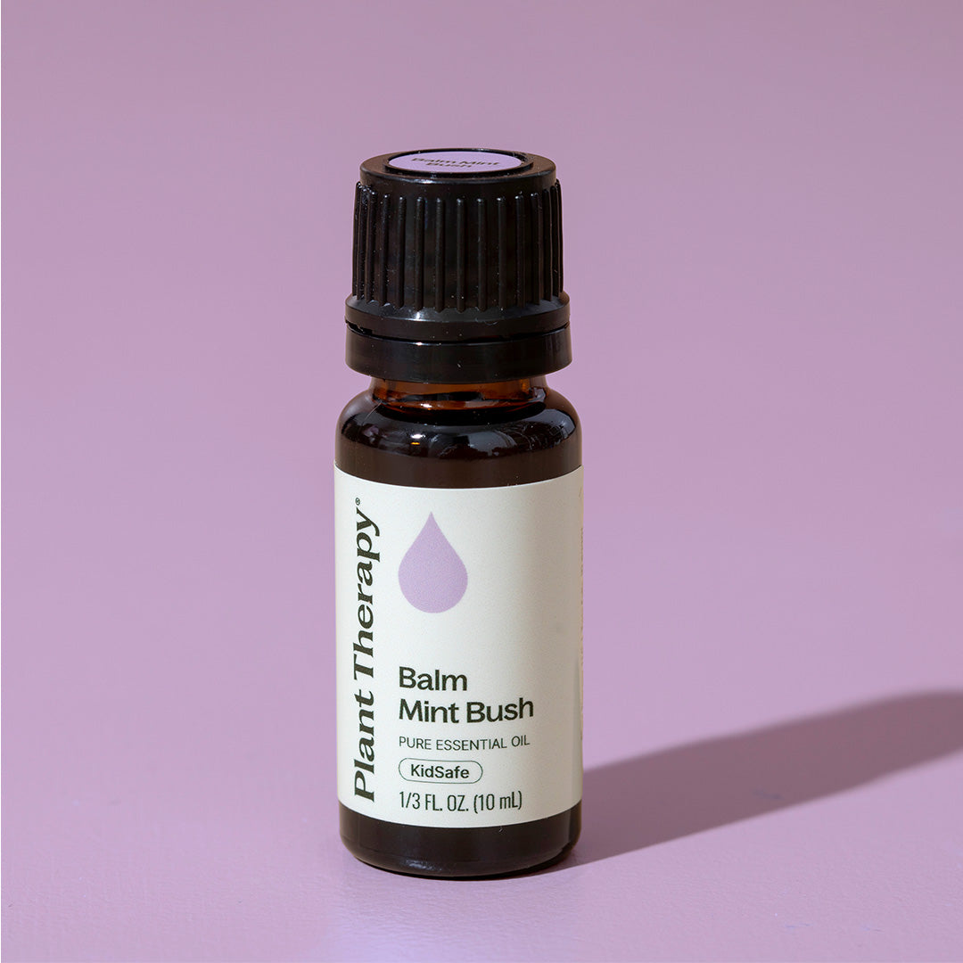 Balm Mint Bush Essential Oil