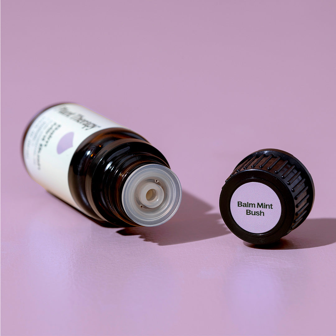 Balm Mint Bush Essential Oil