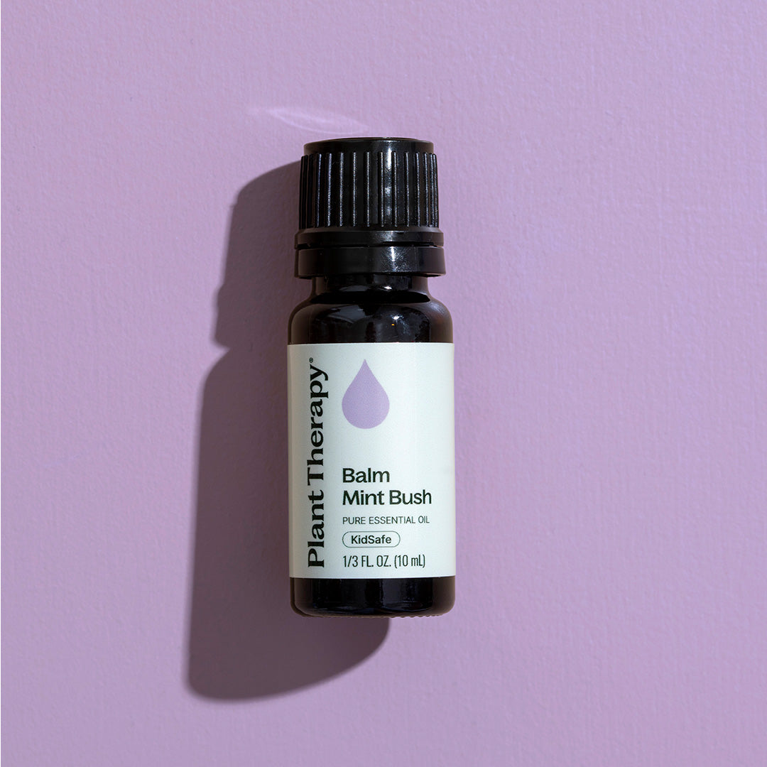 Balm Mint Bush Essential Oil