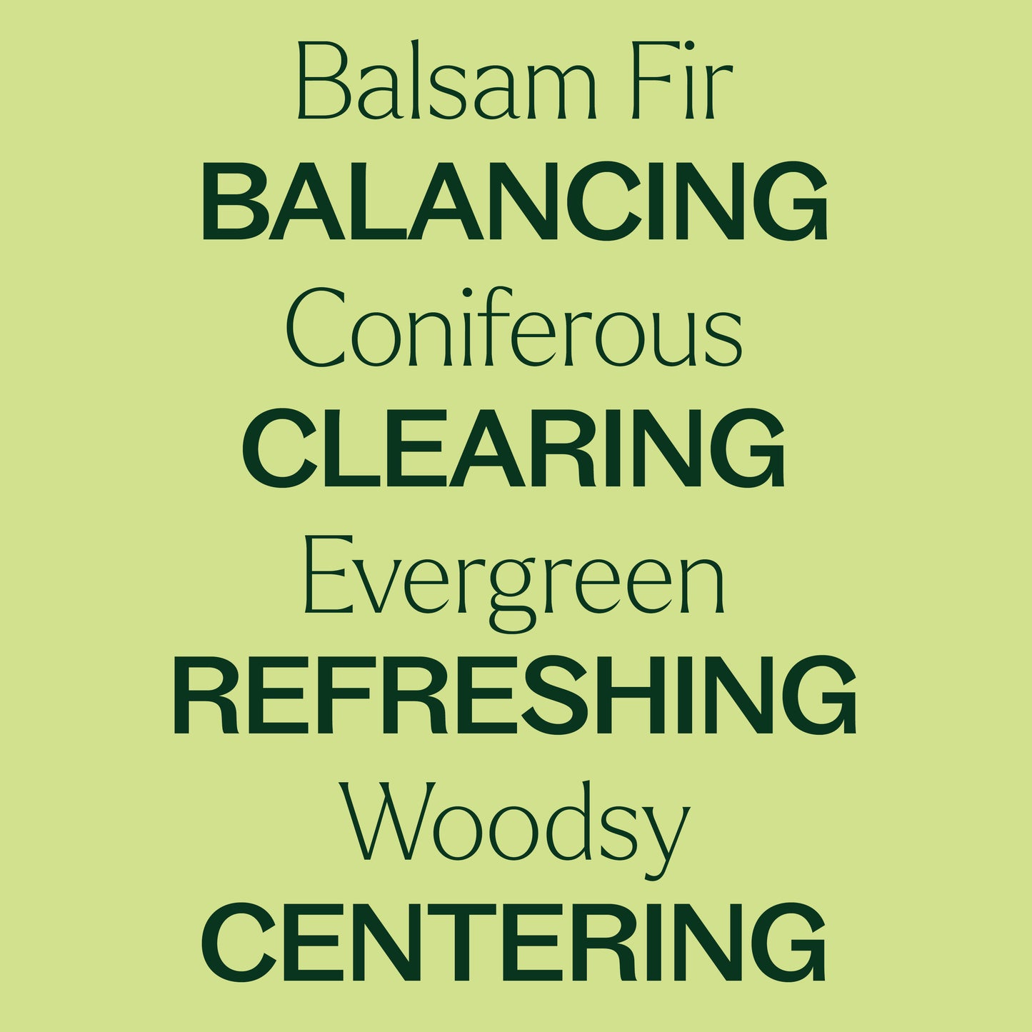 Key features of Balsam Fir Essential Oil. Balancing, coniferous, clearing, evergreen, refreshing, woodsy, and centering