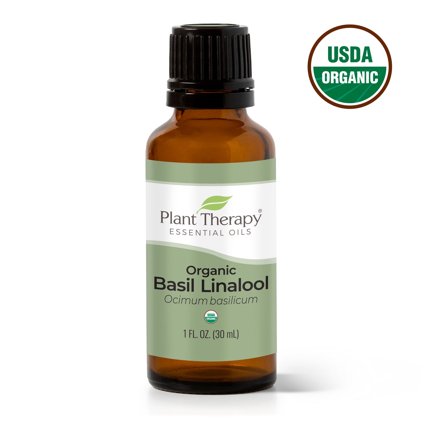 Organic Basil Linalool Essential Oil