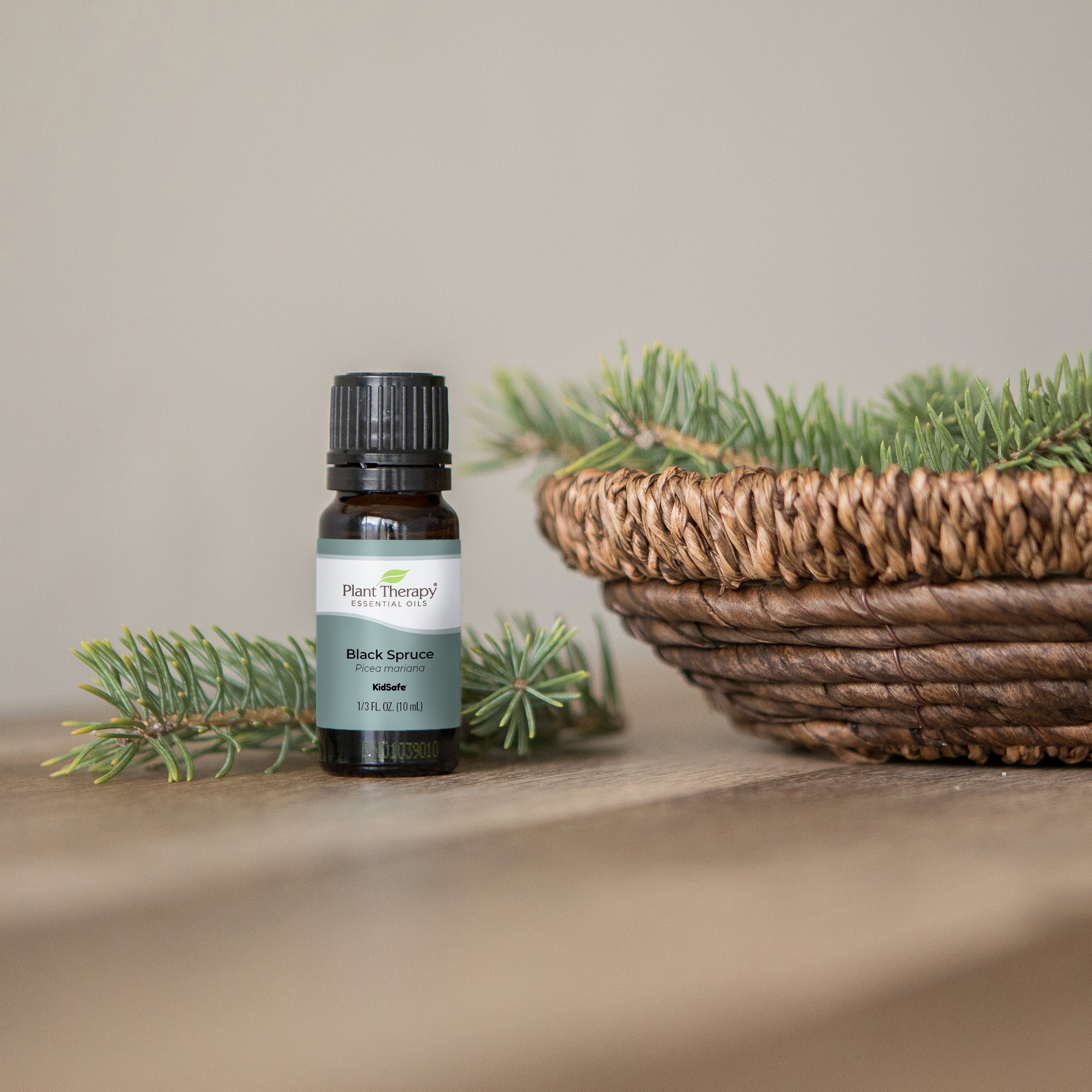 Black Spruce Essential Oil Plant Therapy