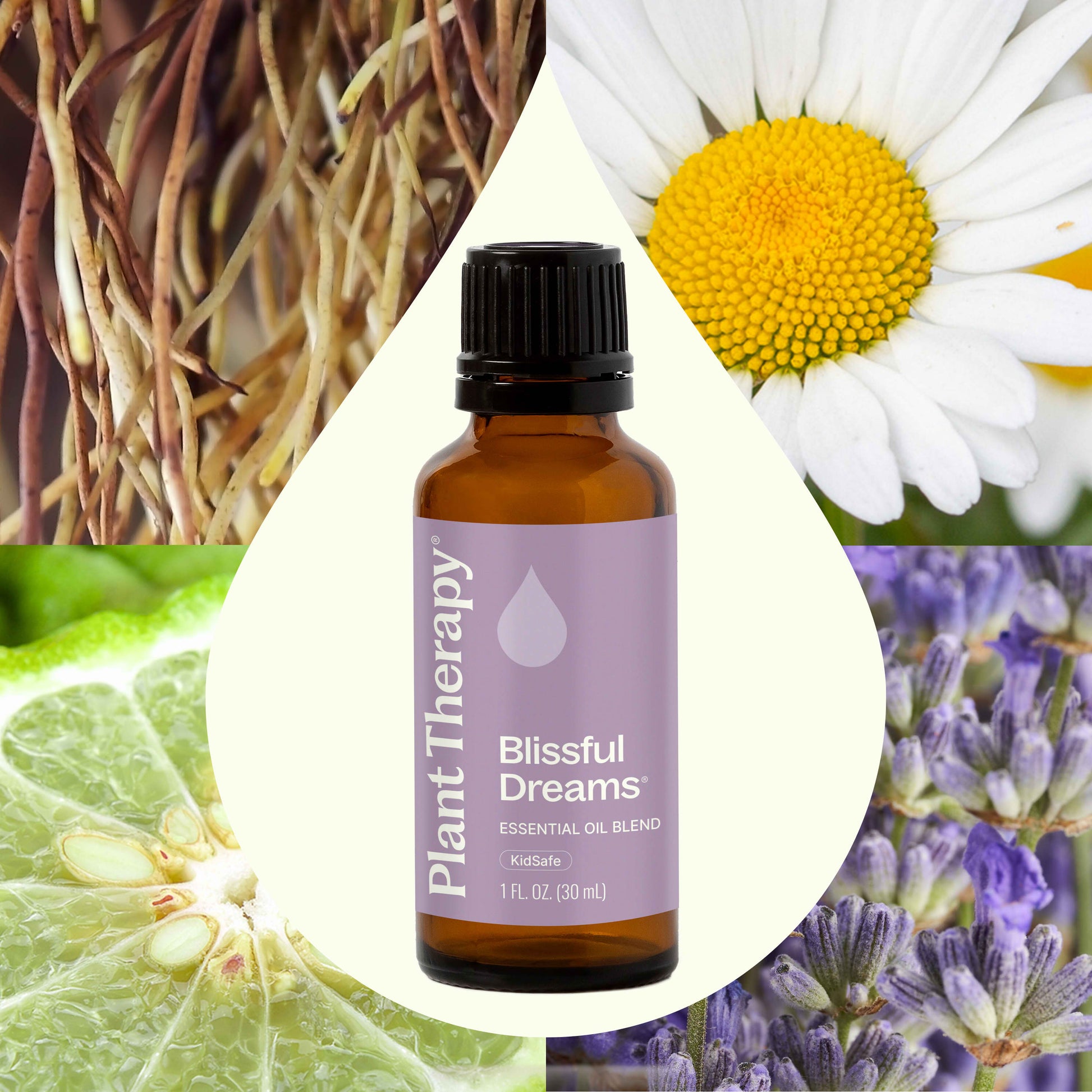 Blissful Dreams Essential Oil