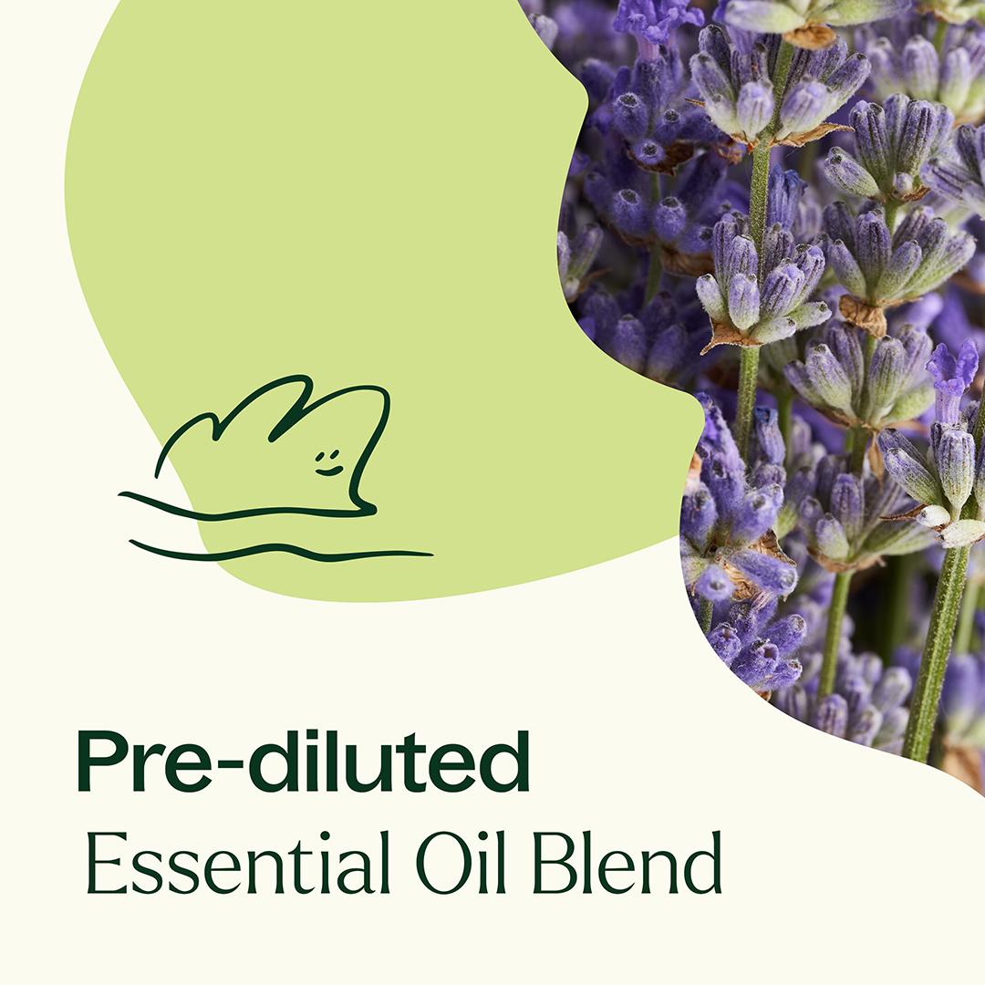 Blissful Dreams Essential Oil Pre-Diluted Roll-On