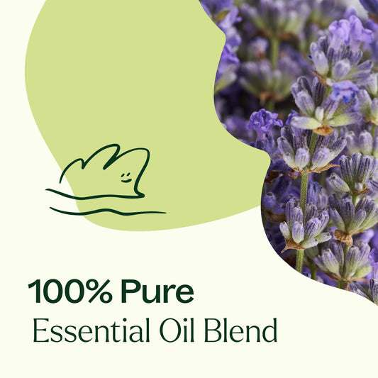 Blissful Dreams Essential Oil