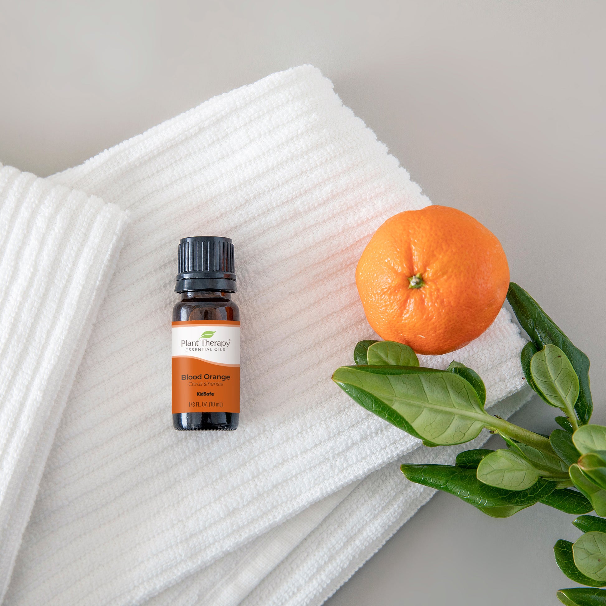 Blood Orange Essential Oil – Plant Therapy