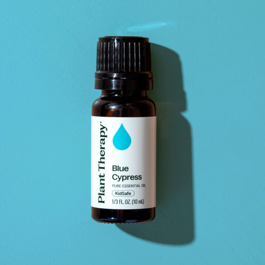 Blue Cypress Essential Oil