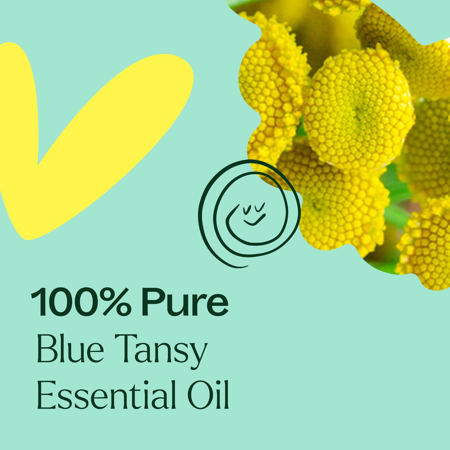 100% pure Blue Tansy Essential Oil