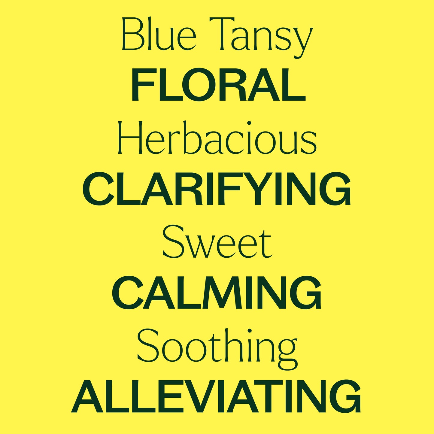 Blue Tansy Essential Oil key features. Floral, herbacious, clarifying, sweet, calming, soothing, alleviating