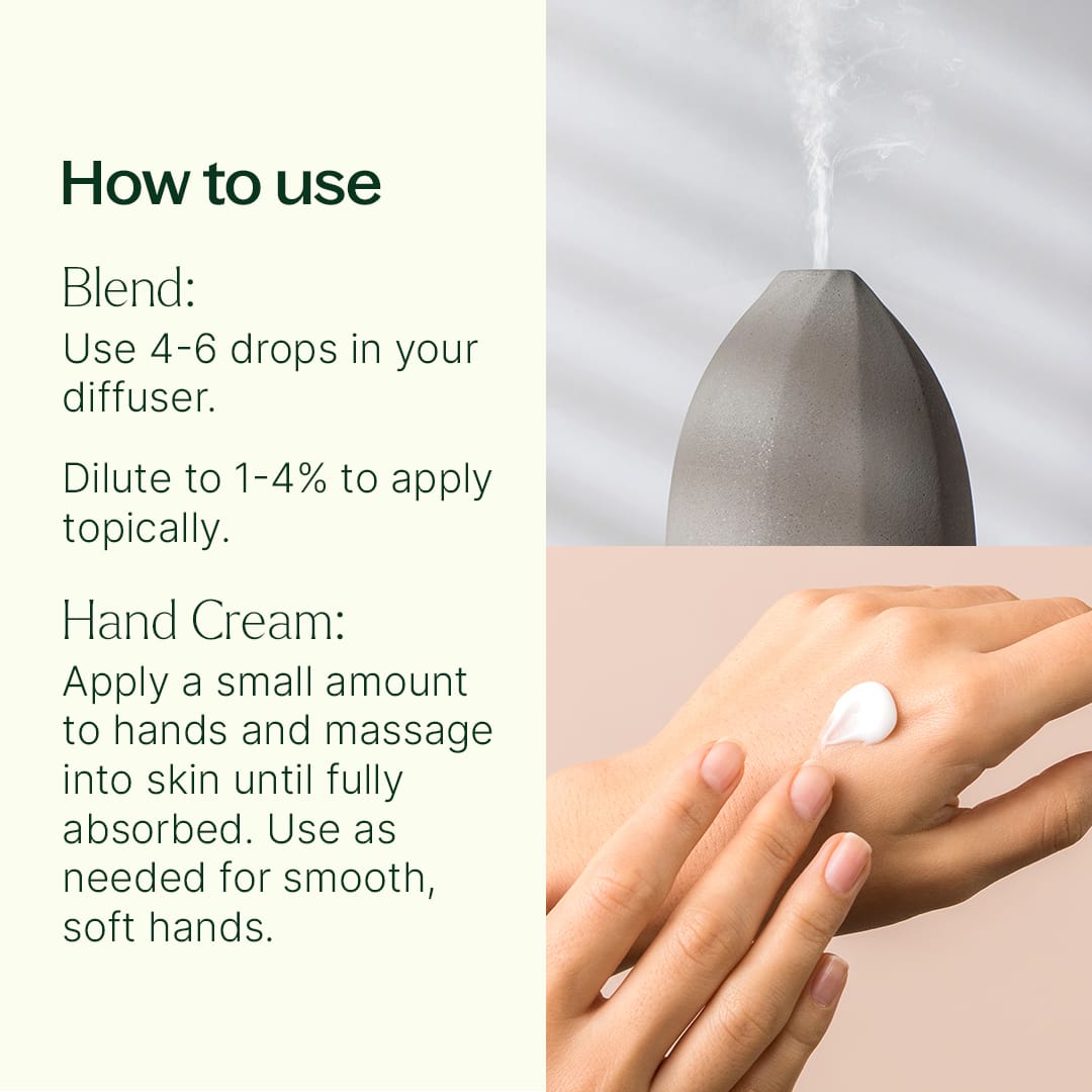 Butterfly Blossoms Duo