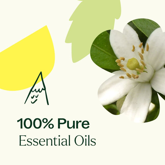 Butterfly Blossoms Duo