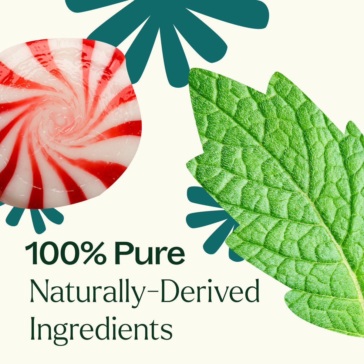 Candy Cane Essential Oil Blend