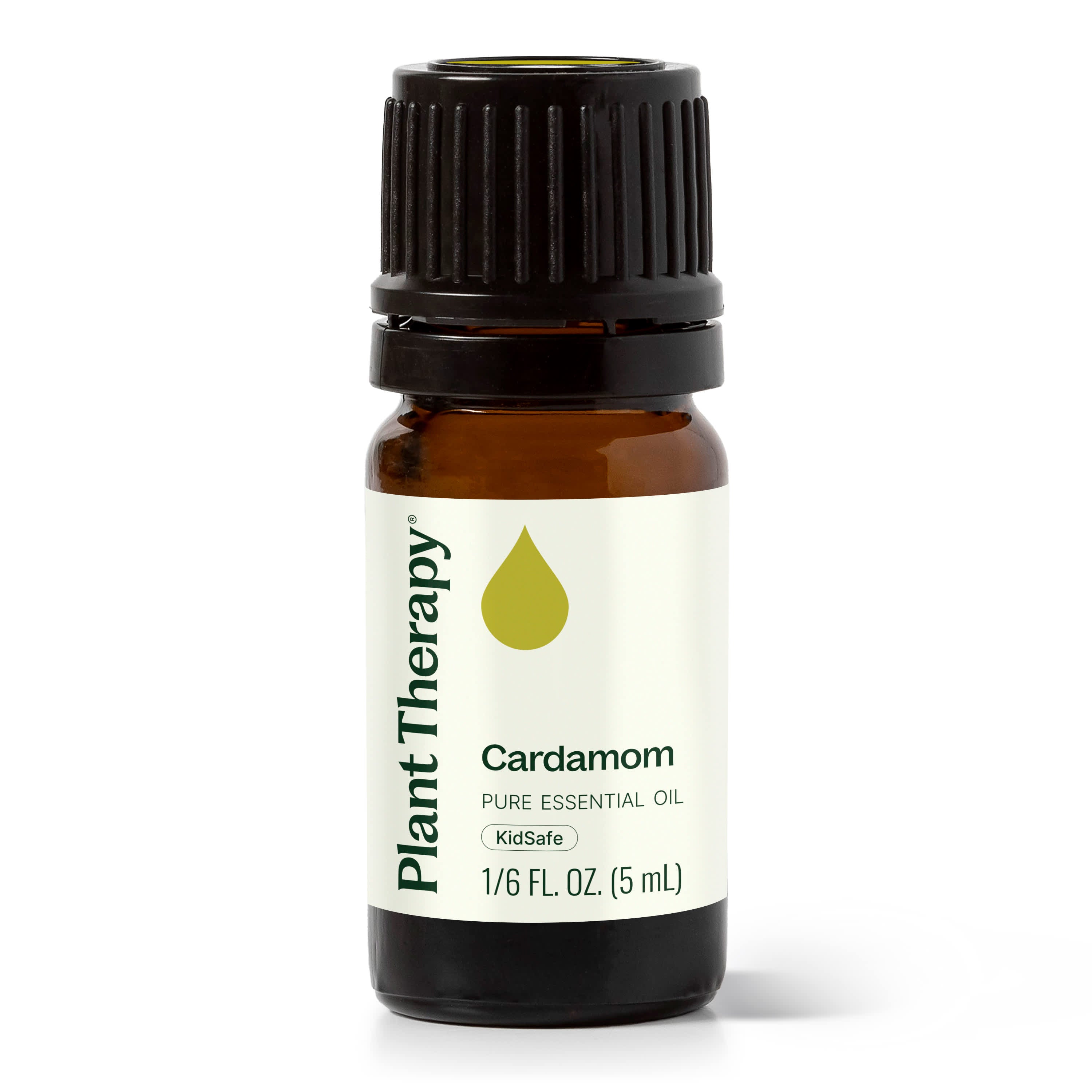 Cardamom Essential Oil – Plant Therapy