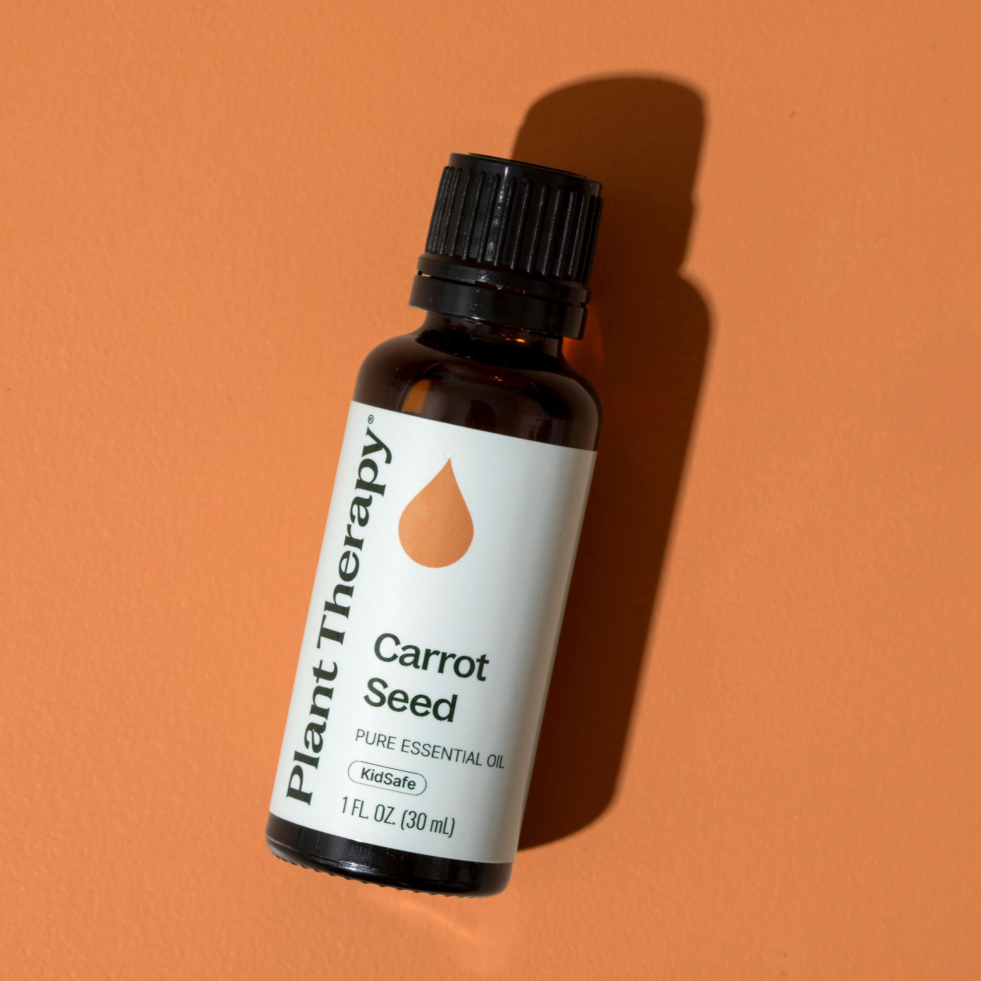 plant therapy carrot seed oil Carrot Seed Essential Oil