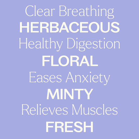 Catnip Essential Oil