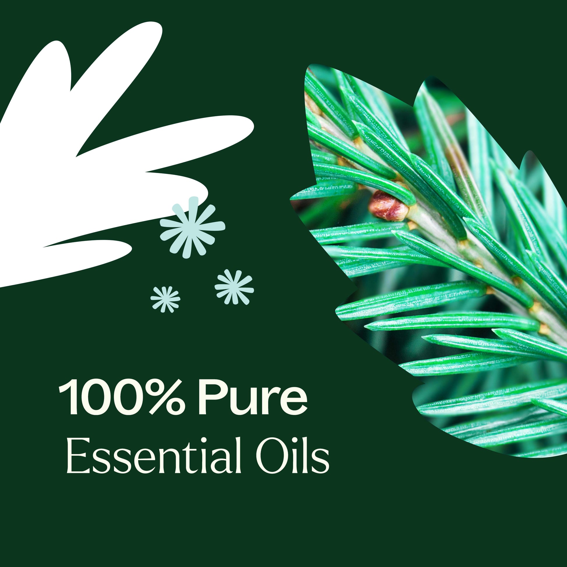 Christmas Tree Essential Oil Blend