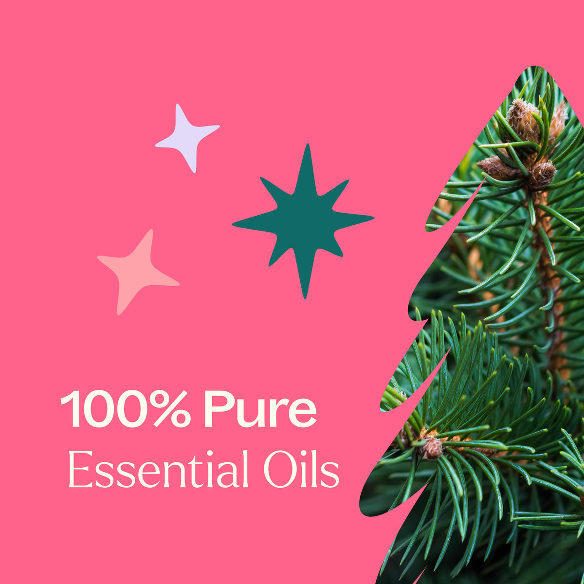 Christmas Tree Essential Oil Blend