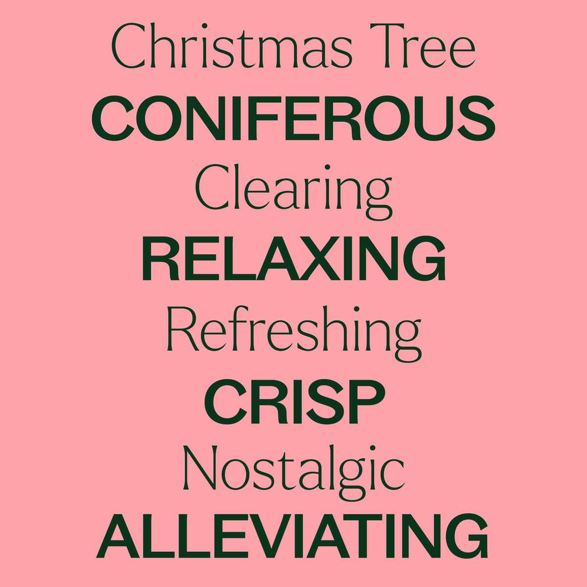 Christmas Tree Essential Oil Blend