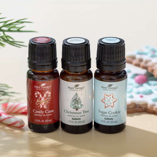 Christmas Traditions Essential Oil Blend Set
