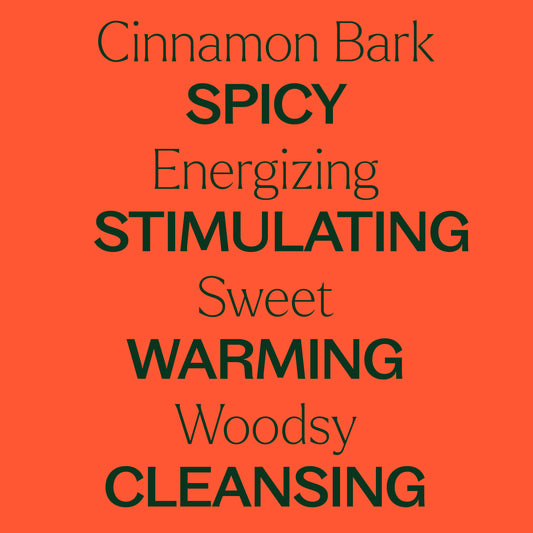 Cinnamon Bark Essential Oil key features. Spicy, energizing, stimulating, sweet, warming, woodsy, and cleansing